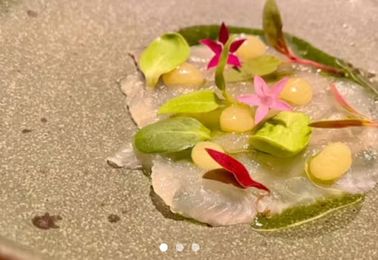 【menu poissons／お魚のコース】冷・温前菜、魚料理、デザートなど全5品